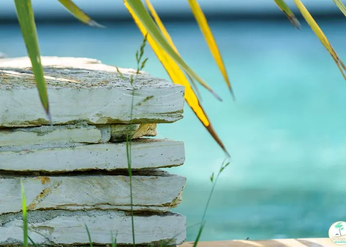 Villa Avec Piscine 24 Couchages Parentis-en-Born